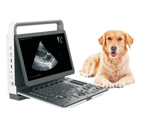 System Uwchsain Doppler Lliw Milfeddygol Cludadwy